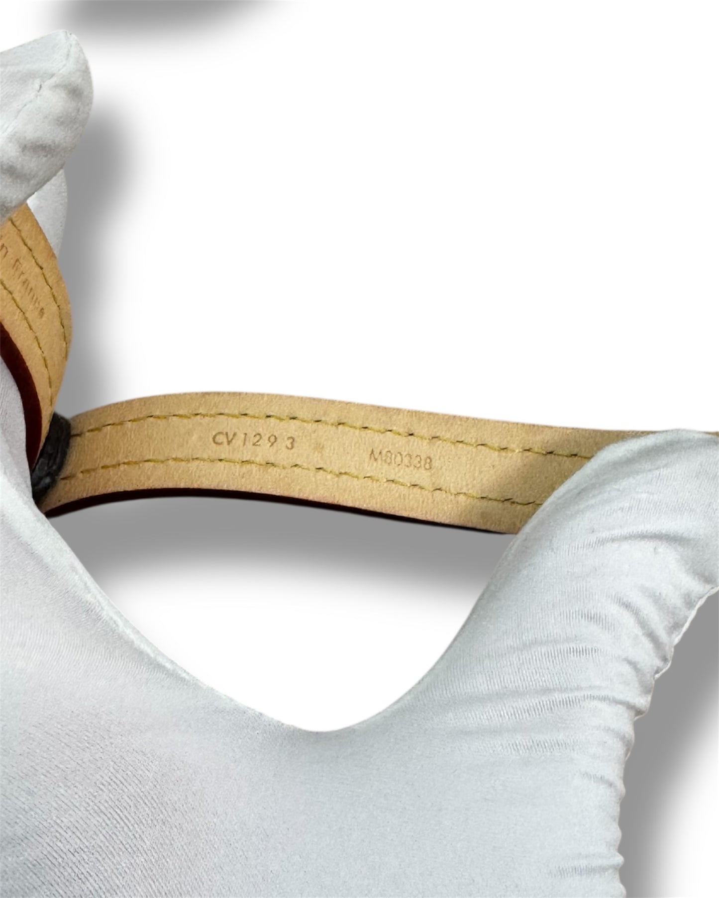 Ensemble collier et laisse Louis Vuitton Toile Monogram