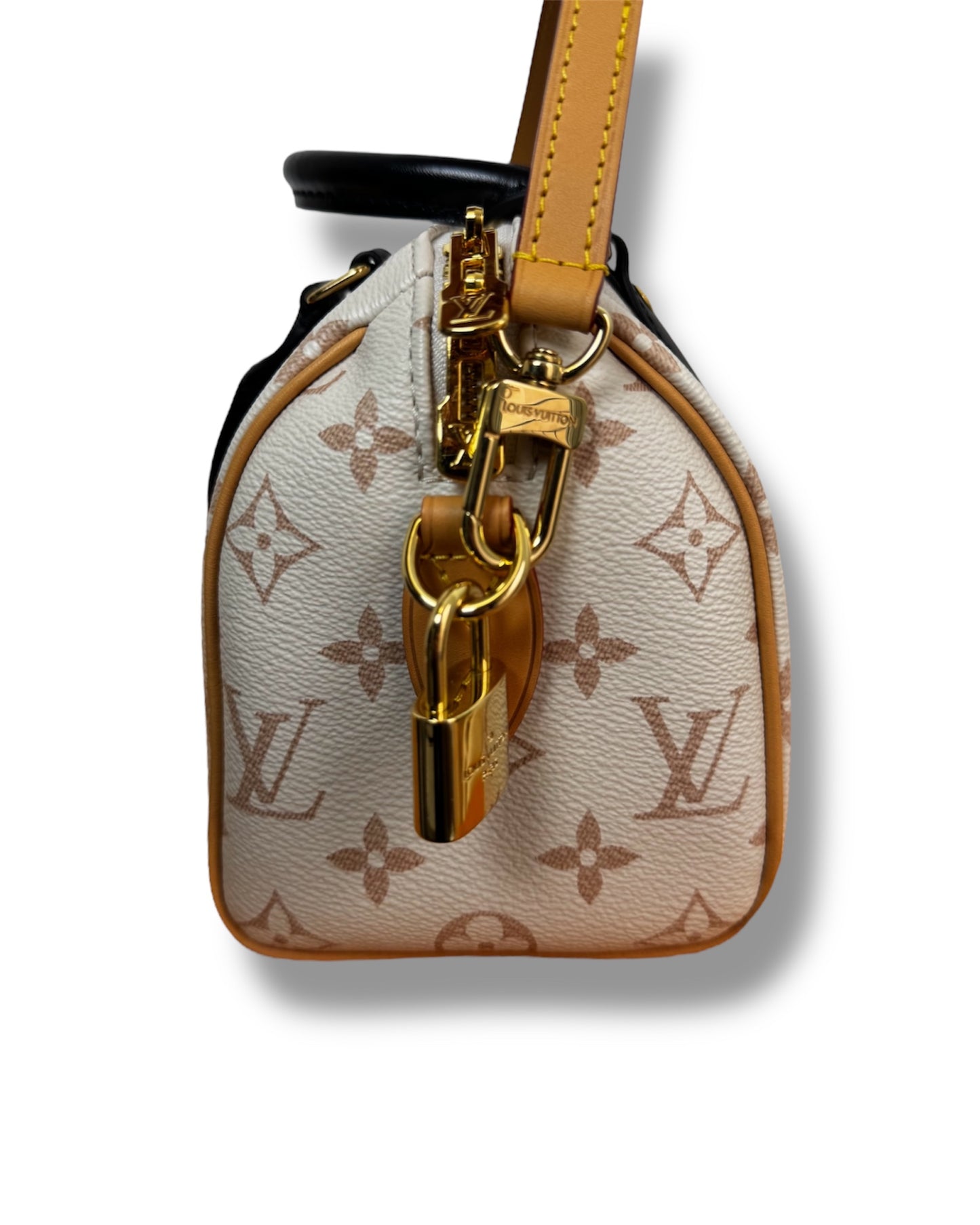 Sac Louis Vuitton Dune Speedy Bandoulière 20