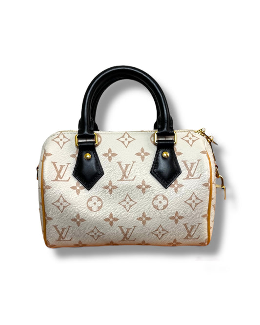Sac Louis Vuitton Dune Speedy Bandoulière 20