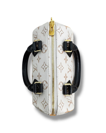 Sac Louis Vuitton Dune Speedy Bandoulière 20